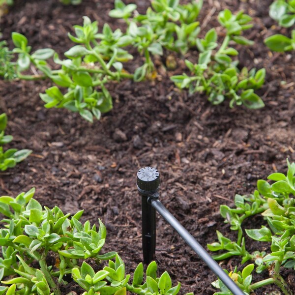 Raindrip Raindrip For 1/4 in. Tubing Drip Irrigation Self-Piercing Clamp 6 in. H 1 pk - A155CPUB