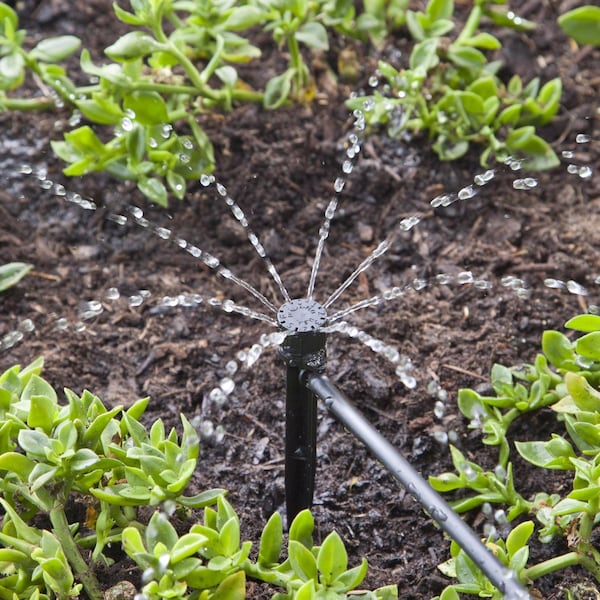 Raindrip Raindrip For 1/4 in. Tubing Drip Irrigation Self-Piercing Clamp 6 in. H 1 pk - A156CPUB