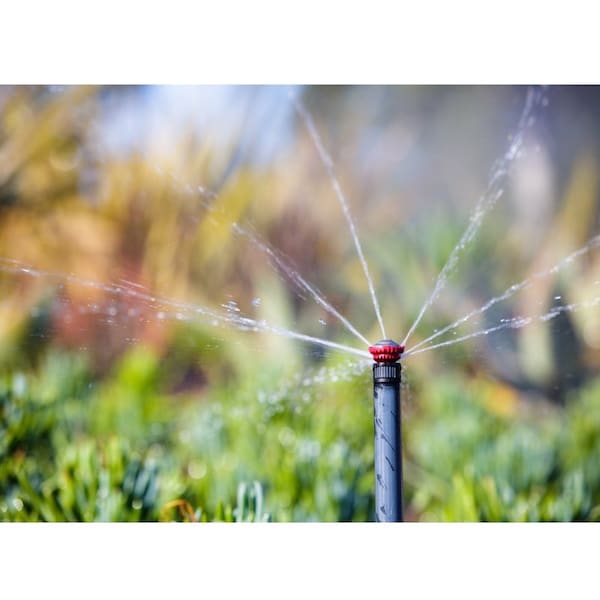 Rain Bird Rain Bird Plastic 24 ft. Full-Circle Rotary Nozzle - 24RNFPRO