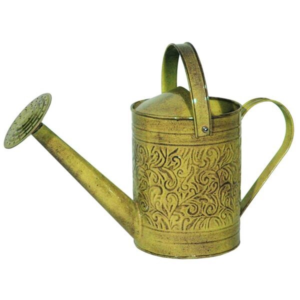 Perfectpatio 1 gal Topaz Metal Morgan Watering Can - PE1739120