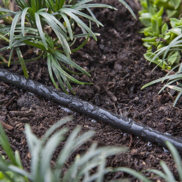 Raindrip Raindrip Polyethylene Drip Irrigation Soaker Tubing 1/4 in. D X 50 ft. L - 015005T