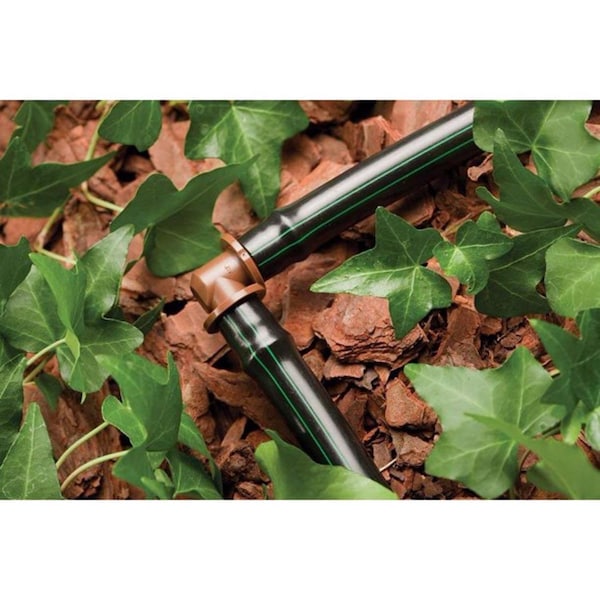 Rain Bird Rain Bird 1/2 in. Barbed Drip Irrigation Elbow 4 pk - BE50/4PKS