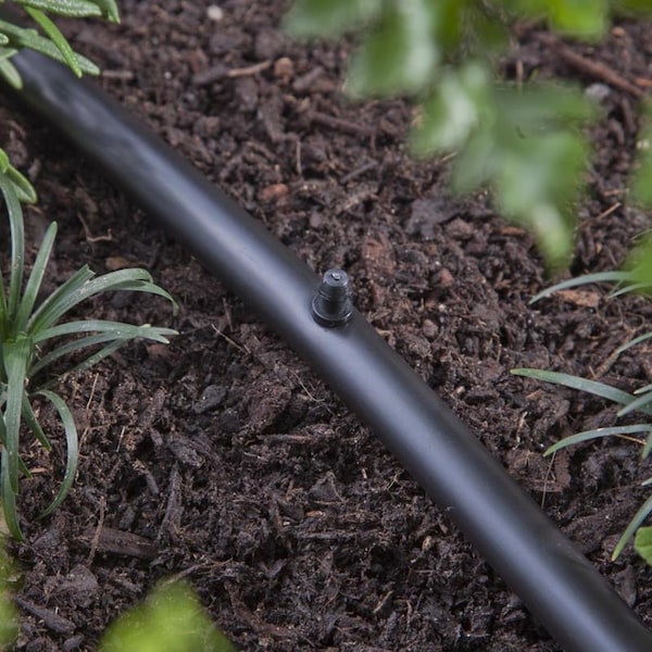 Raindrip Raindrip For 1 in. Tubing Drip Irrigation Hole Plug 10 pk - 646010B