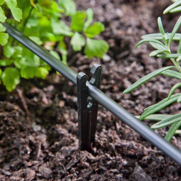 Raindrip Raindrip For 1/4 in. Tubing Drip Irrigation Tubing Stake 6 in. H 10 pk - 381010B