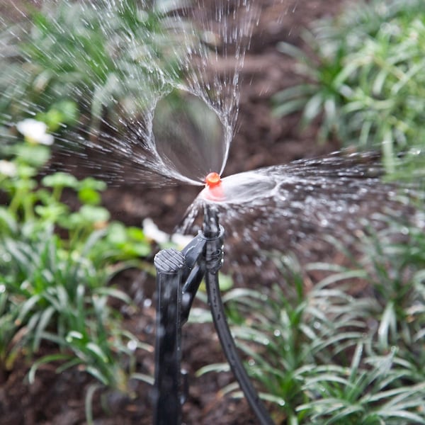 Raindrip Raindrip Full-Circle Drip Irrigation Sprinkler Head 31.4 gph 1 pk - P1075UB
