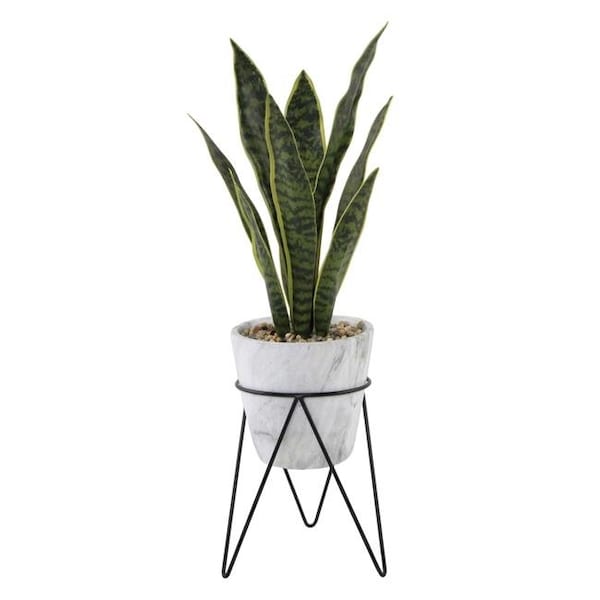 Flora Bunda Flora Bunda CS3057 1.75 ft. Snake Plant in Marble on Metal Stand - CS3057