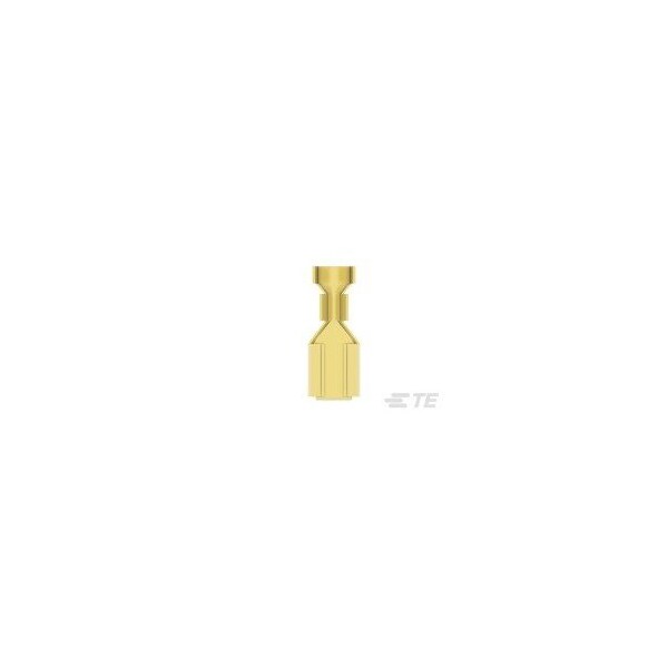 Te Connectivity FASTON 250 PIGGY-BACK REC 14-10 AWG BR - 62253-1

Conector FASTON 250 PIGGY-BACK REC 14-10 AWG BR de Te Connectivity - 62253-1