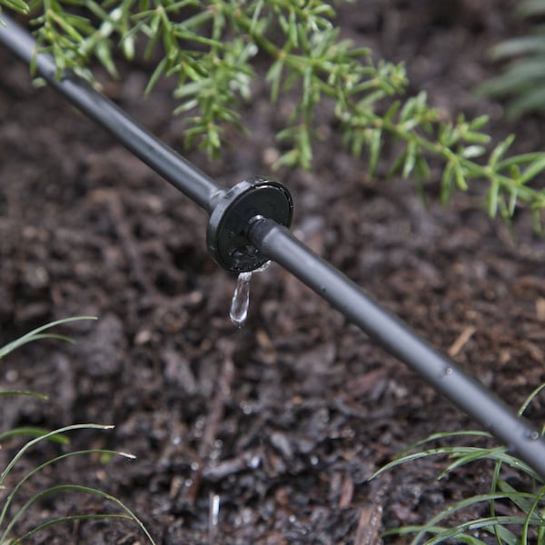 Raindrip Raindrip Spot Drip Irrigation Dripper 1 gph 10 pk - 117010B
