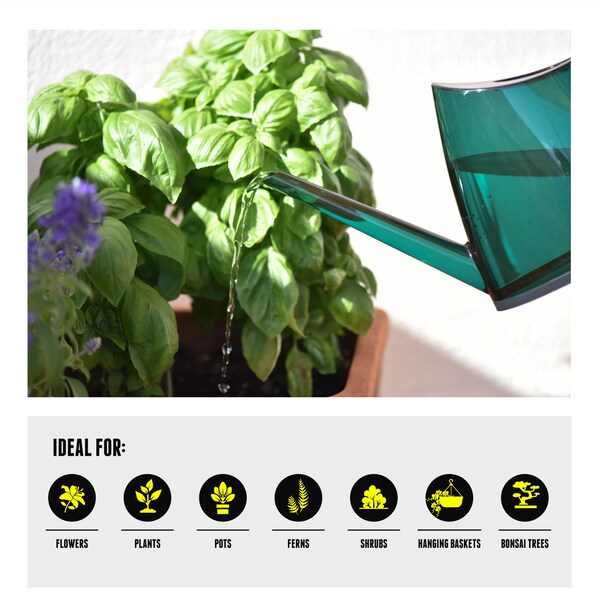 Segomo Tools 1/3 Gallon Small Green Indoor Long Spout House Watering Can - WC40