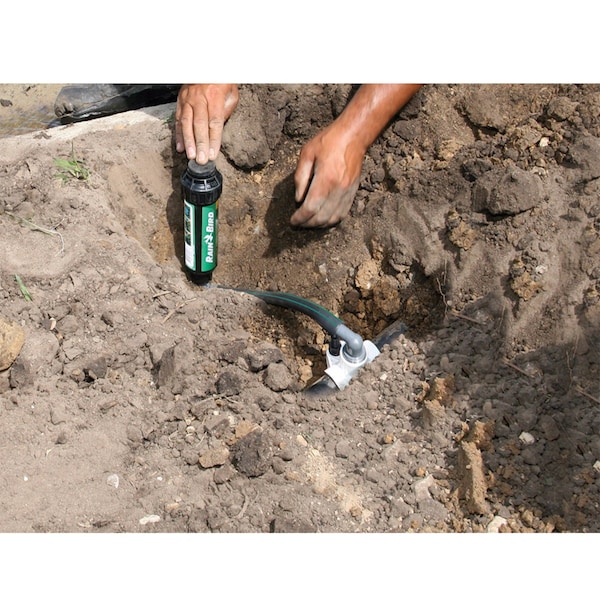 Rain Bird Rain Bird EZ Pipe 1/2 in. D X 24 in. L Swing Pipe - SWGP24INS