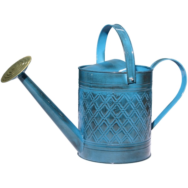 Robert Allen Robert Allen Mountain Waves 2 gal Metal Wexley Watering Can - MPT01503