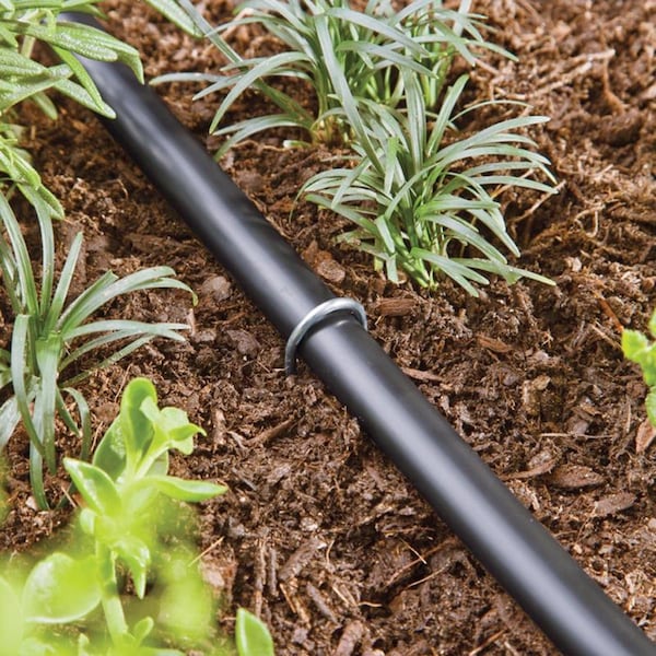Raindrip Raindrip Drip Irrigation Tubing Stake 8 in. H 15 pk - 397015B