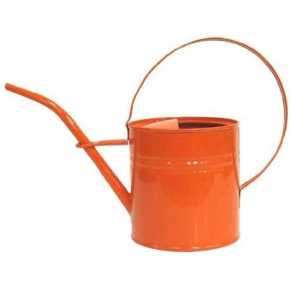 Superherostuff 0.75 gal Enameled Galvanized Steel Watering Can, Tangerine - PA2998299