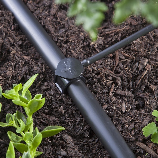 Raindrip Raindrip For 1/4 in. Tubing Drip Irrigation Self-Piercing Clamp 14.5 in. H 1 pk - A159CPUB