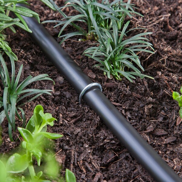 Raindrip Raindrip For 1-1/4 in. Tubing Drip Irrigation Tubing Stake 8 in. H 25 pk - 397025B