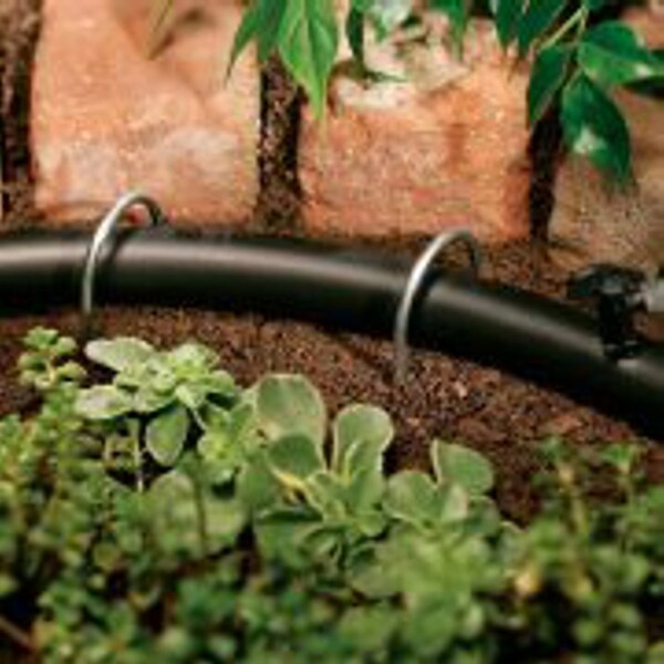 Orbit Orbit For 1/2 in. Tubing Drip Irrigation Tubing Stake 10 pk - 65731