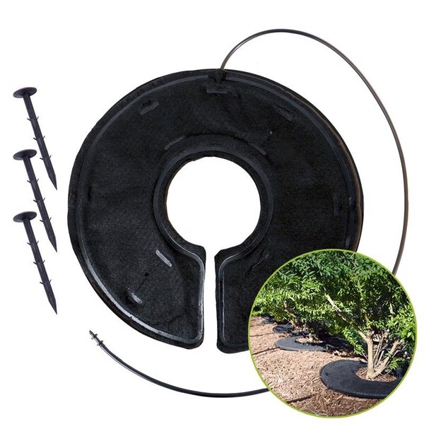 Raindrip Raindrip For 1/4 in. Tubing Precision Watering Pad 0.5 in. H 1 pk - RW16L1