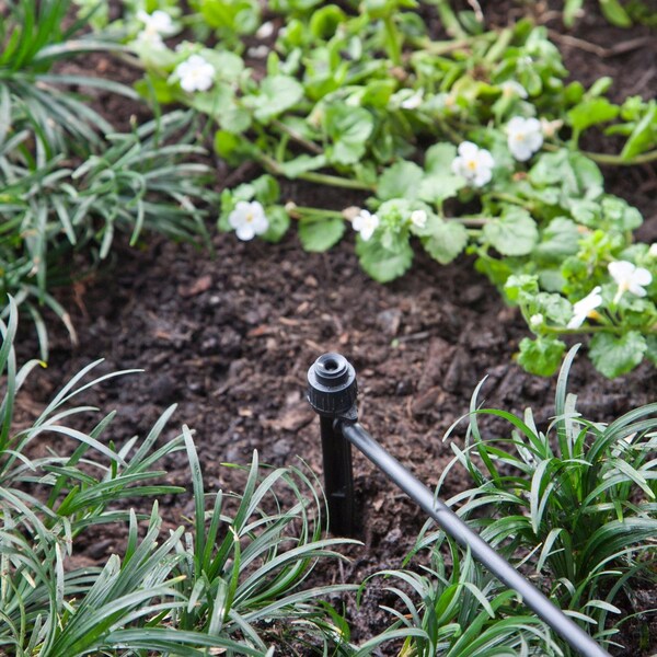 Raindrip Raindrip Full-Circle Drip Irrigation Fan Spray Bubbler 24 gph 1 pk - 15300UB