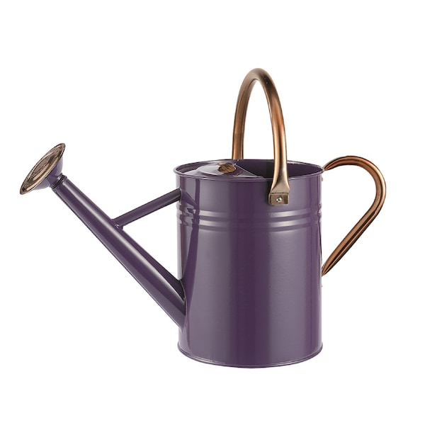 Gardman 1 GALLON WATER CAN DEEP VIOLET - W22 R34881X