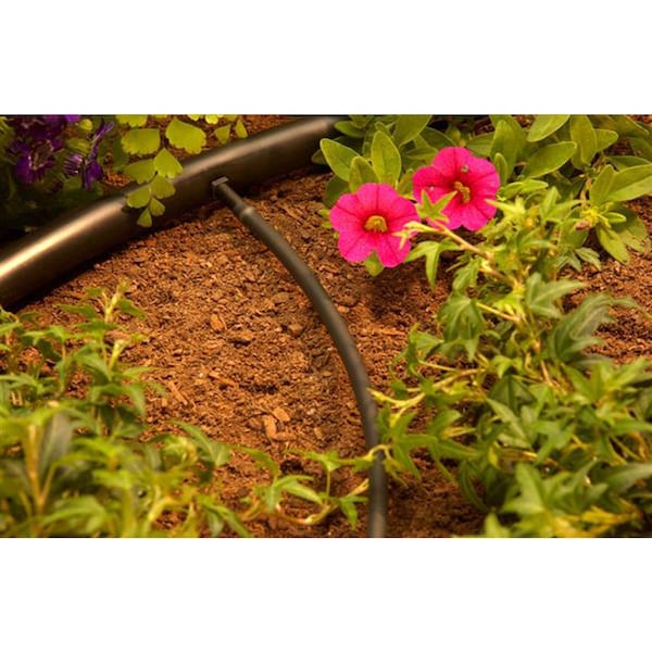 Orbit Orbit 1/4 in. Barbed Drip Irrigation Coupler 25 pk - 67402