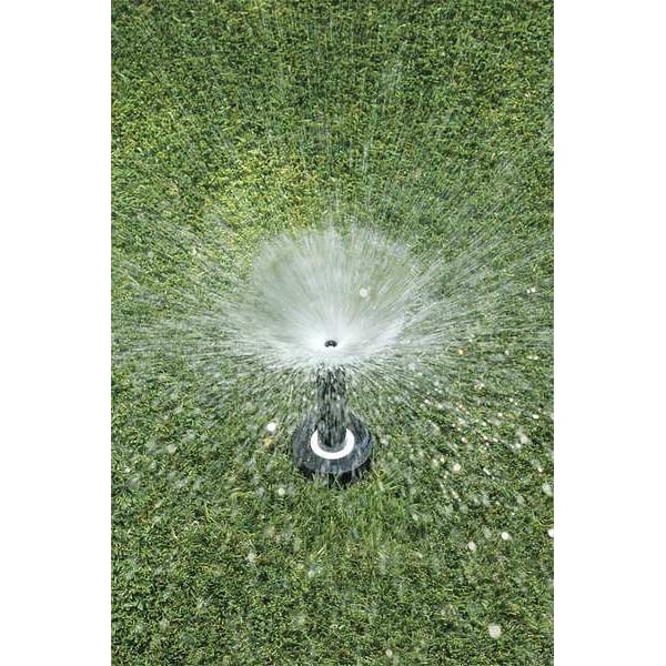 Rain Bird Spray Head for Shrubs, 6 in. H, 0.1 gpm - 1804FDS-25