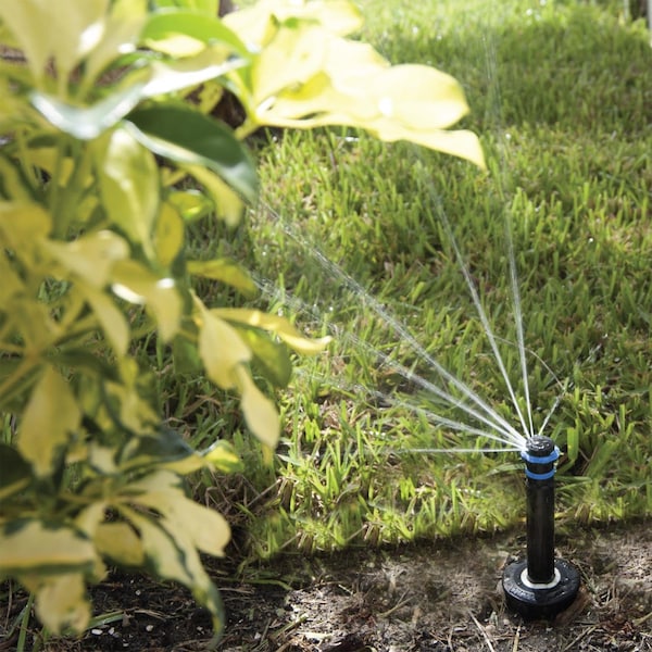 K-Rain K Rain Pro S 4 in. H Adjustable Pop-Up Rotary Spray Nozzle - 30652-PR40