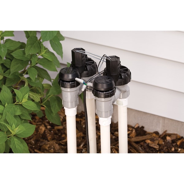 Rain Bird Rain Bird Anti-Siphon Valve 3/4 in. 150 psi - DAS-075/ASVF