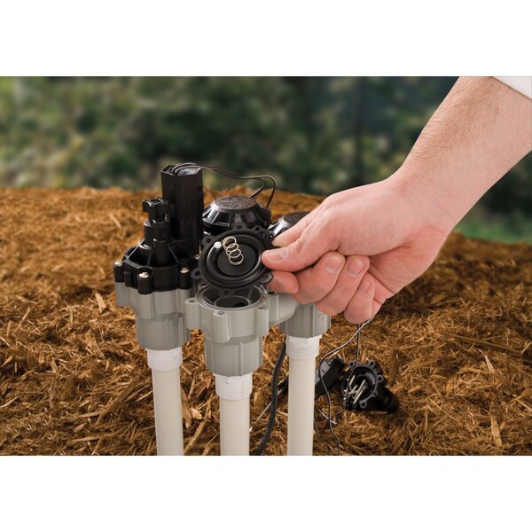 Rain Bird Rain Bird Anti-Siphon Valve 3/4 in. 150 psi - DAS-075/ASVF