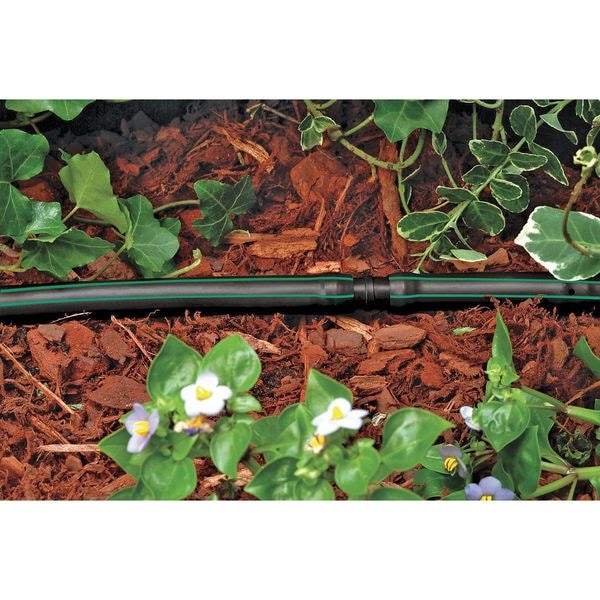 Rain Bird Blank Tubing, 1/2 in, 100 ft, Black - T63-100