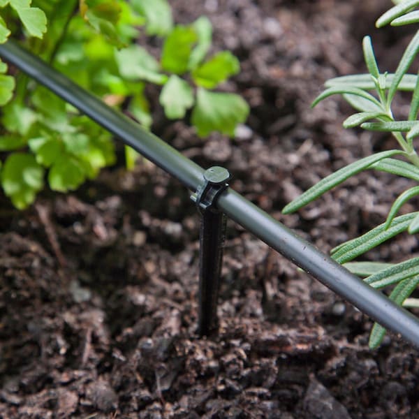 Raindrip Raindrip For 1/4 in. Tubing Drip Irrigation Tubing Stake 4 in. H 10 pk - R380CT