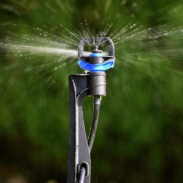 Thrifco Plumbing Rotor Rain Plus Assembled on Stake with 24 Inch Tube & Adaptor - 9421451