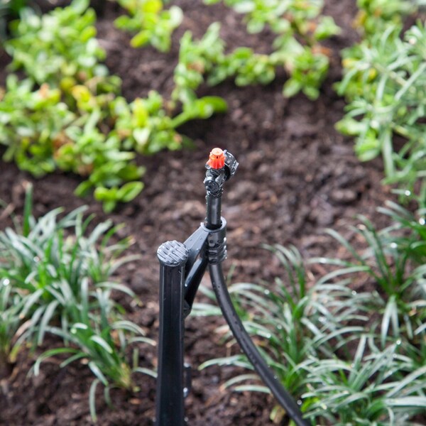 Raindrip Raindrip For 1/4 in. Tubing Drip Irrigation Tubing Stake 13 in. H 1 pk - 170CPUB