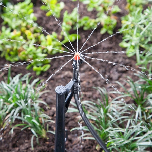 Raindrip Raindrip For 1/4 in. Tubing Drip Irrigation Tubing Stake 13 in. H 1 pk - 170CPUB