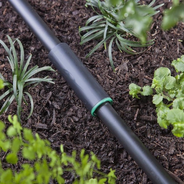 Raindrip Raindrip 1/2 in. Drip Irrigation Coupler 1 pk - R341CT