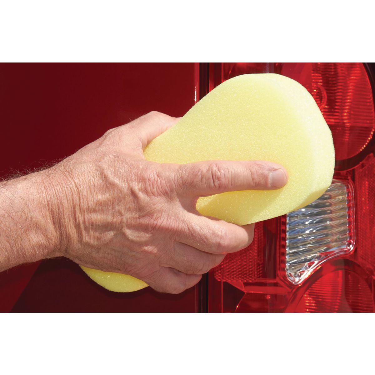 Esponja de hueso Hft - 60235