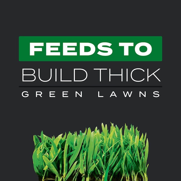 Scotts Scotts Turf Builder Triple Action Weed & Feed Lawn Fertilizer For Multiple Grass Types 4000 sq ft - 26005