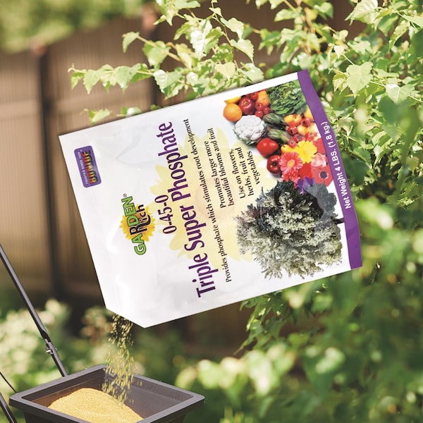 Bonide Products Bonide Garden Rich Granules Plant Food 4 lb - 969
