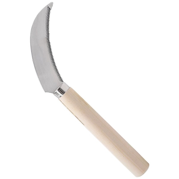 Zenport Berry Knife, Stainless Steel Serrated Blade, 12PK - K206