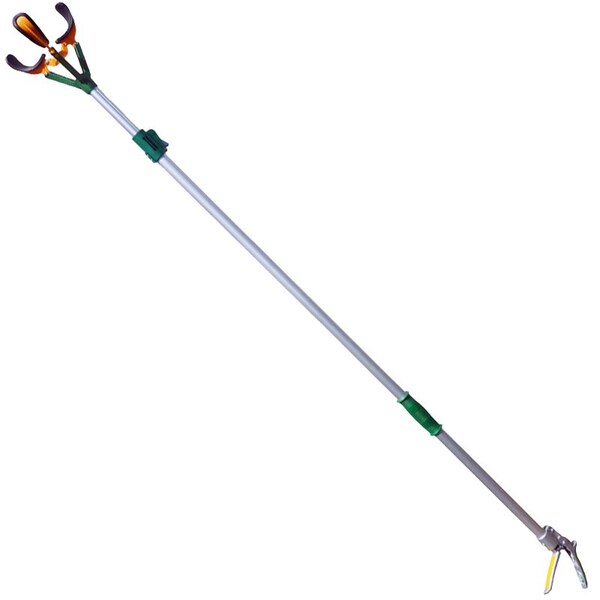 Zenport Long Reach Telescopic Fruit Picker, 10-Feet Extension, 8PK - ZL6146B