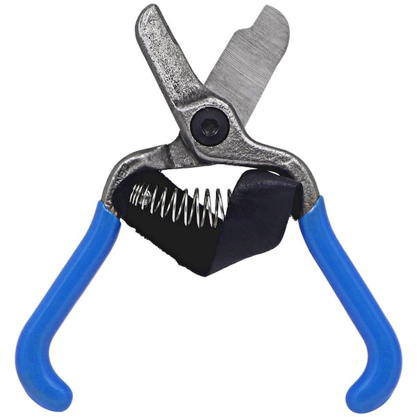 Zenport Fruit Shears with Strap, Lemon Citrus Clipper, 5.5-Inch, 3PK - H322