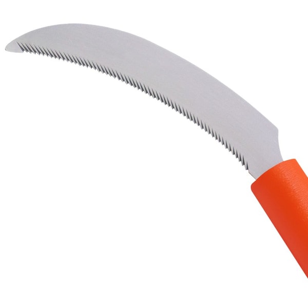 Zenport Harvest Sickle, 4.3-Inch Stainless Steel Serrated Blade, 12PK - K206C