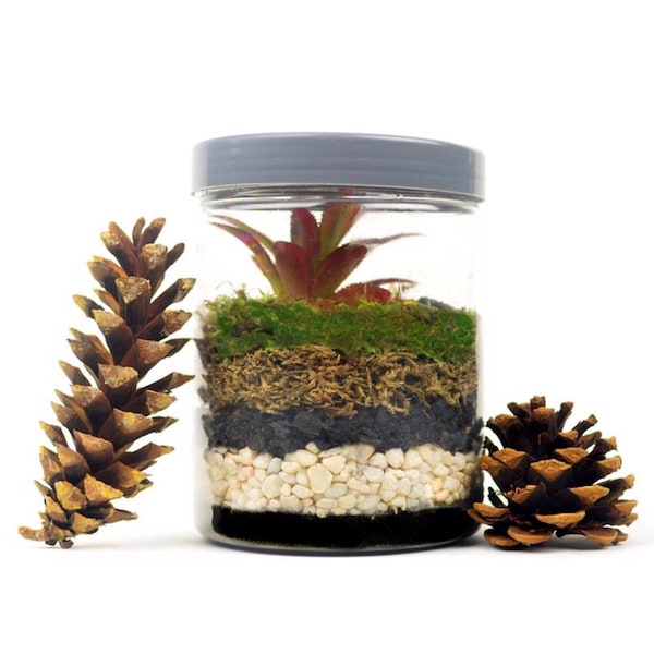 Mosser Lee Mosser Lee White Pearl Stone Soil Cover 5 lb - ML1122