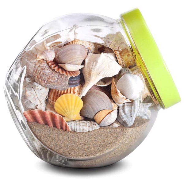 Mosser Lee Mosser Lee Desert Sand Desert Soil Cover 5 lb - ML1110