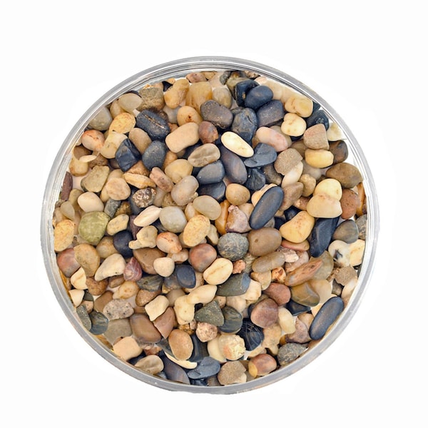 Mosser Lee Mosser Lee River Pebbles Assorted Stone Vase Filler 5 lb - ML2181