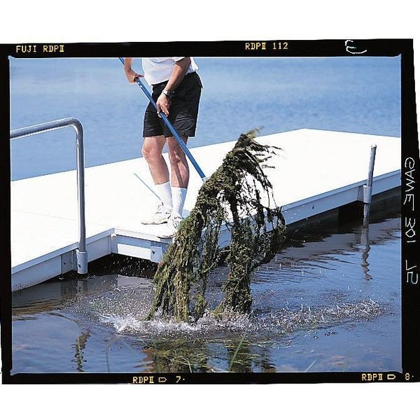 Seymour Midwest 184-tine Weed Eradicator with 132"L Aluminum Handle - 87028GR