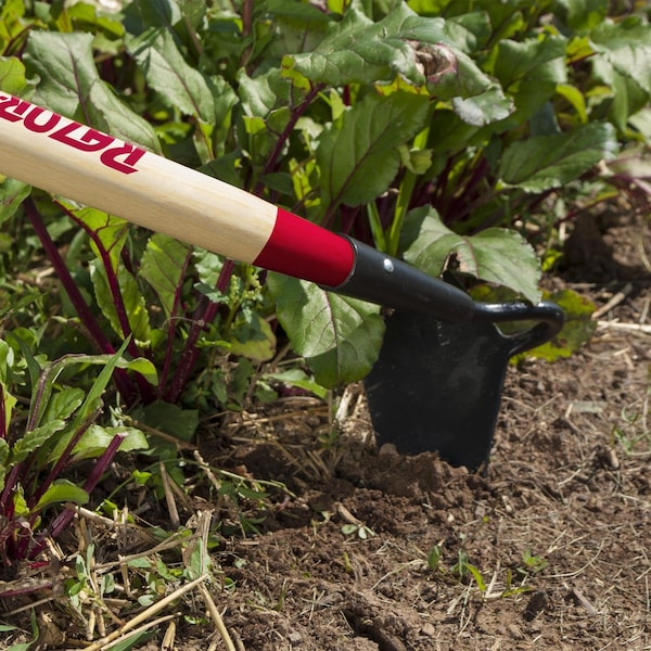 Razor-Back Razor-Back Steel Beet/Nursery Hoe 54 in. Wood Handle - 67126
