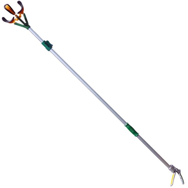 Zenport Long Reach Telescopic Fruit Picker, 6-Feet Extension, 8PK - ZL6146A