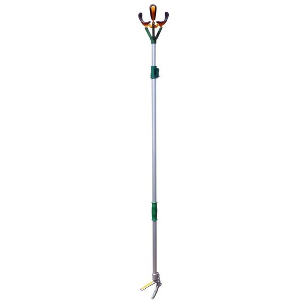 Zenport Long Reach Telescopic Fruit Picker, 6-Feet Extension, 8PK - ZL6146A