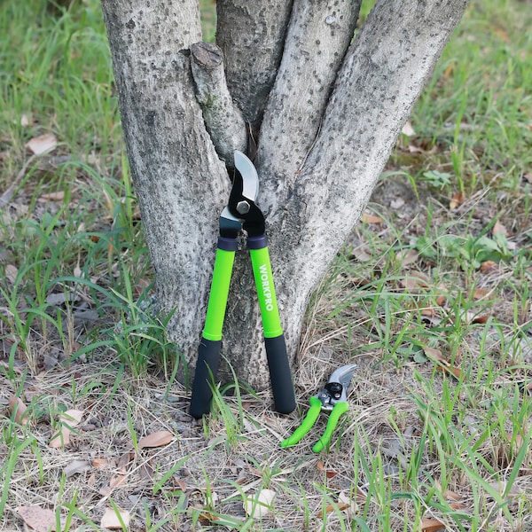 Prime-Line WORKPRO W115010 Limb and Branch Pruner Tool Set, Heat-Treated Steel 2 Piece - W151010