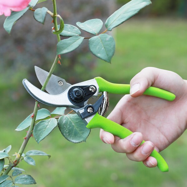 Prime-Line WORKPRO W115010 Limb and Branch Pruner Tool Set, Heat-Treated Steel 2 Piece - W151010
